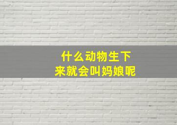 什么动物生下来就会叫妈娘呢