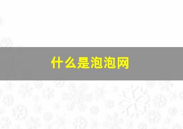 什么是泡泡网