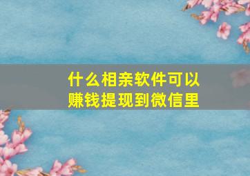 什么相亲软件可以赚钱提现到微信里