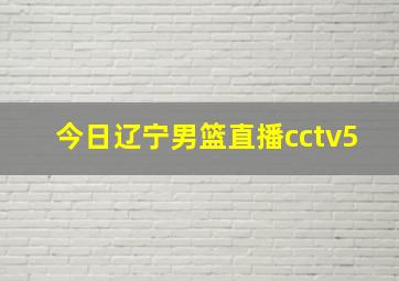 今日辽宁男篮直播cctv5