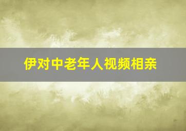 伊对中老年人视频相亲