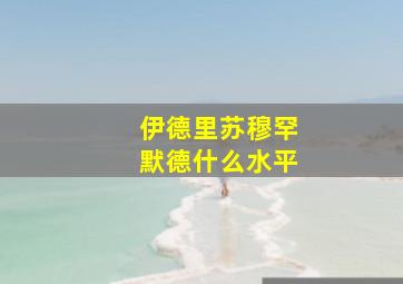 伊德里苏穆罕默德什么水平