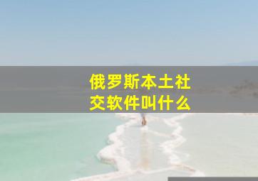 俄罗斯本土社交软件叫什么