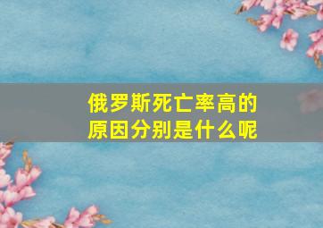 俄罗斯死亡率高的原因分别是什么呢