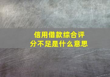 信用借款综合评分不足是什么意思