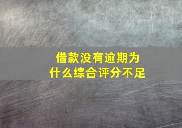 借款没有逾期为什么综合评分不足