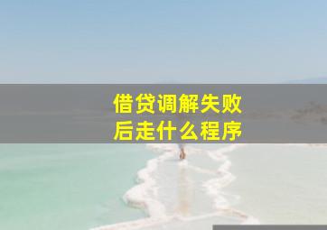 借贷调解失败后走什么程序