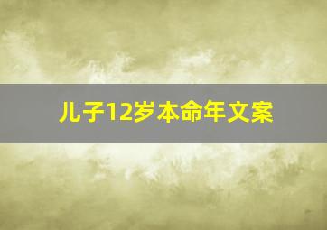 儿子12岁本命年文案