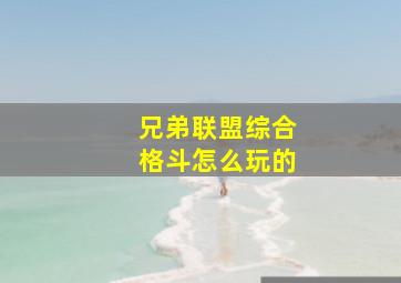 兄弟联盟综合格斗怎么玩的