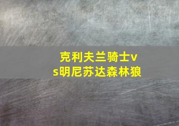 克利夫兰骑士vs明尼苏达森林狼