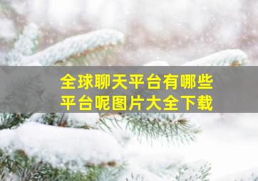 全球聊天平台有哪些平台呢图片大全下载