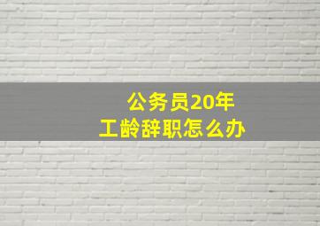 公务员20年工龄辞职怎么办