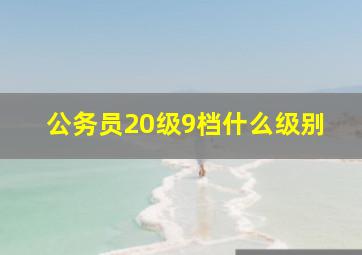 公务员20级9档什么级别