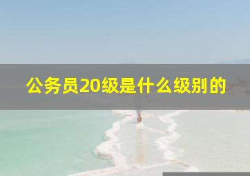 公务员20级是什么级别的