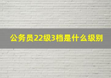 公务员22级3档是什么级别