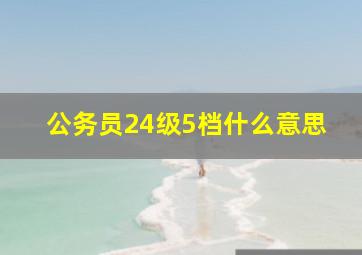 公务员24级5档什么意思