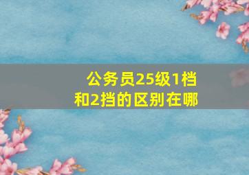 公务员25级1档和2挡的区别在哪