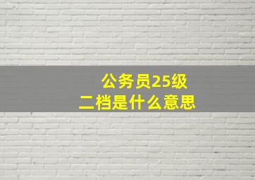 公务员25级二档是什么意思