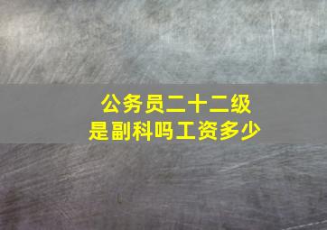 公务员二十二级是副科吗工资多少