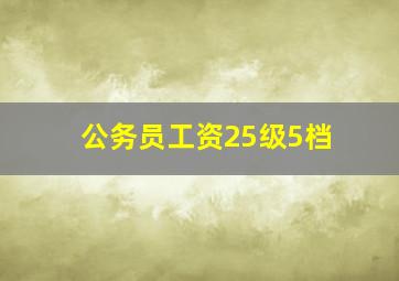 公务员工资25级5档