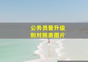 公务员晋升级别对照表图片