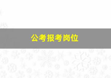 公考报考岗位