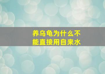 养乌龟为什么不能直接用自来水