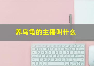 养乌龟的主播叫什么