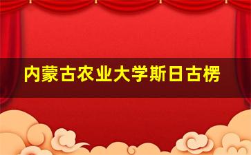 内蒙古农业大学斯日古楞