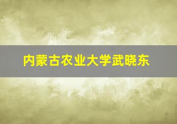 内蒙古农业大学武晓东