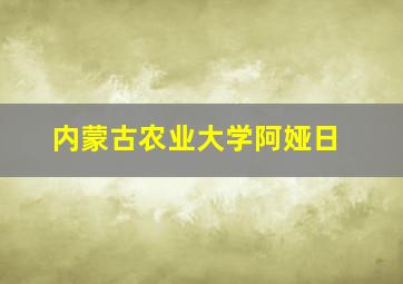 内蒙古农业大学阿娅日