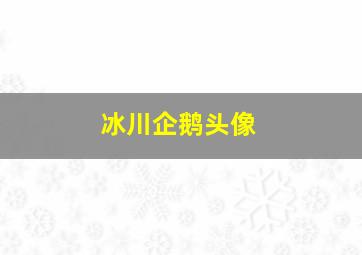 冰川企鹅头像