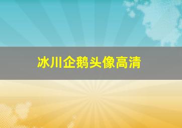 冰川企鹅头像高清