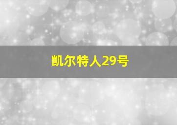 凯尔特人29号