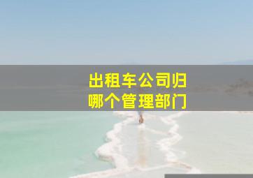 出租车公司归哪个管理部门