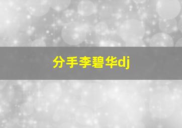 分手李碧华dj