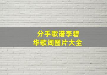 分手歌谱李碧华歌词图片大全