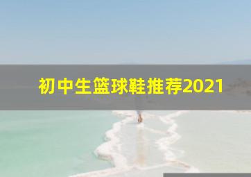 初中生篮球鞋推荐2021