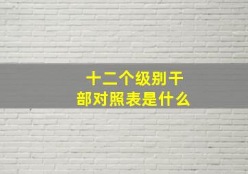 十二个级别干部对照表是什么