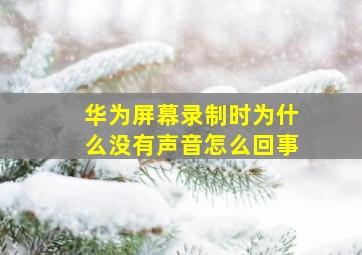 华为屏幕录制时为什么没有声音怎么回事