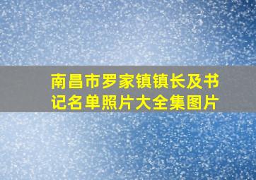 南昌市罗家镇镇长及书记名单照片大全集图片