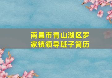 南昌市青山湖区罗家镇领导班子简历