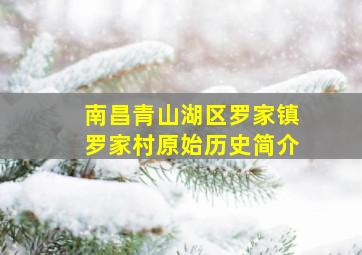 南昌青山湖区罗家镇罗家村原始历史简介