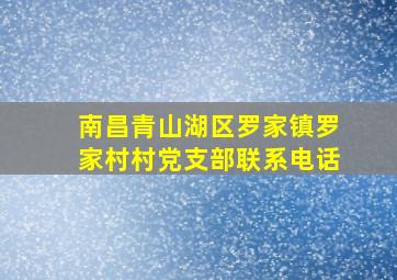 南昌青山湖区罗家镇罗家村村党支部联系电话