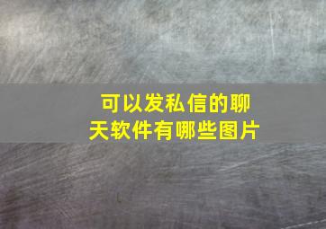 可以发私信的聊天软件有哪些图片