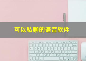 可以私聊的语音软件