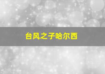 台风之子哈尔西