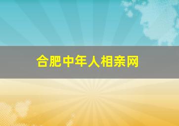 合肥中年人相亲网