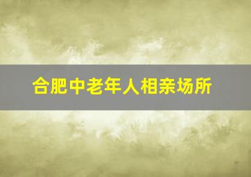 合肥中老年人相亲场所