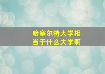 哈塞尔特大学相当于什么大学啊